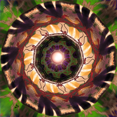 Transitions "Transitions" by M. D. Friedman